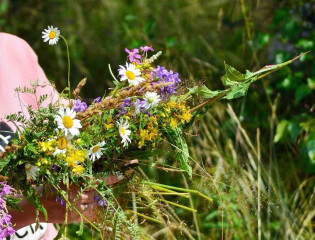 Праздник Ивана Купала в усадьбе Марьино