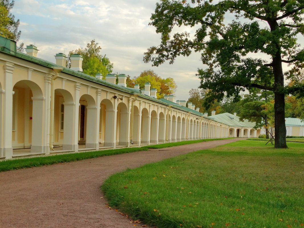 Ломоносовский сад санкт петербург